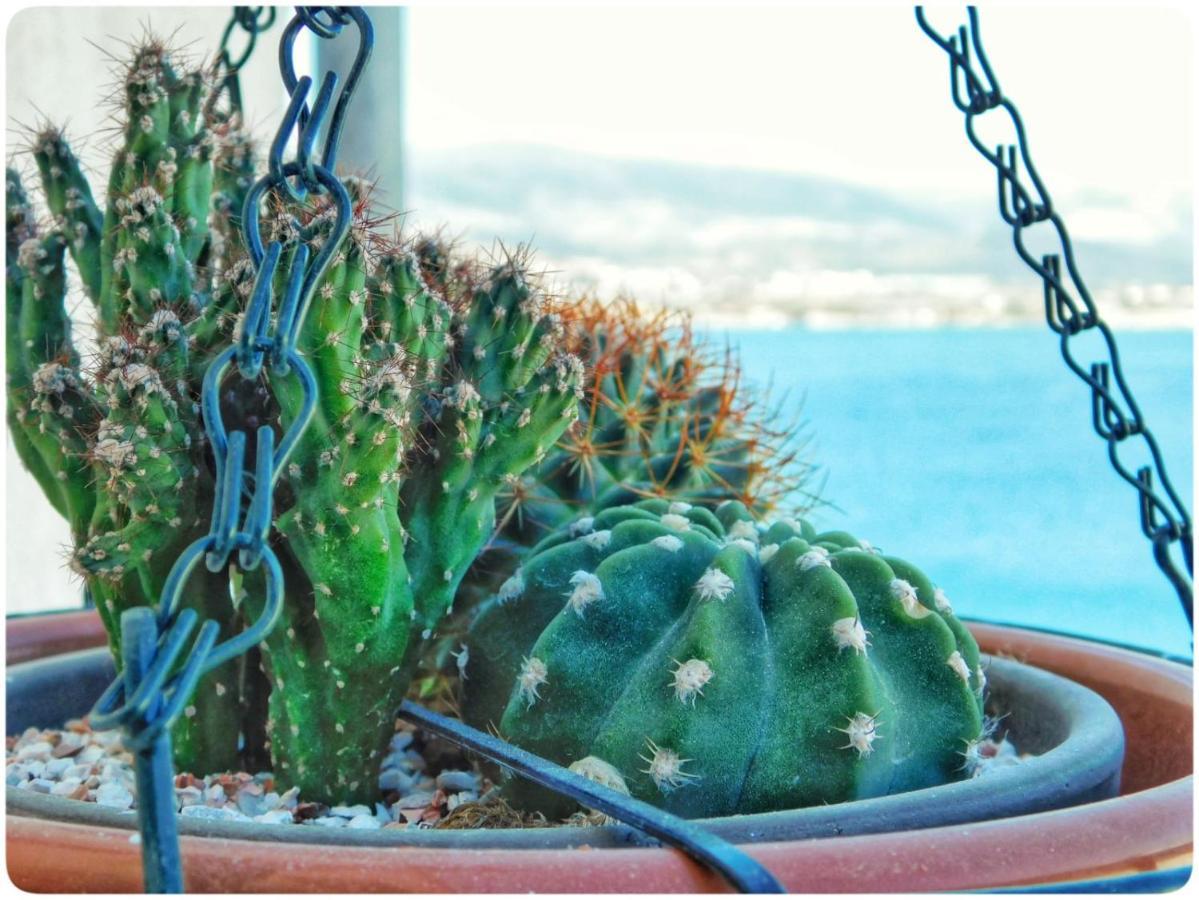 Littlevenice Appartme 50M From Sea Trogir Ngoại thất bức ảnh