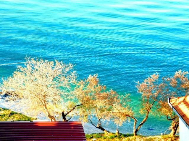 Littlevenice Appartme 50M From Sea Trogir Ngoại thất bức ảnh